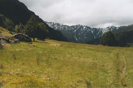 New Zealand Rees-Dart Day 1 8 2004